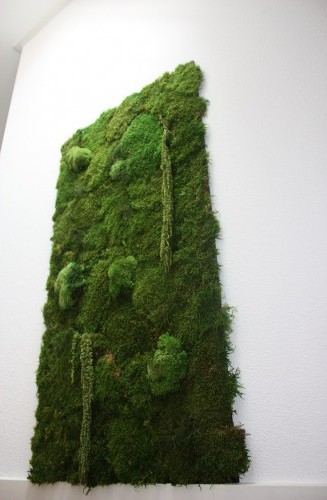 green wall 6-500x500